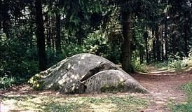 Puntuko brolis Puntuko brolis