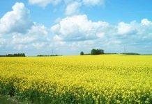 Bioenergija Bioenergija