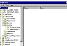 Programos Windows OS registras