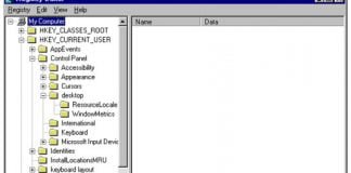 Programos Windows OS registras
