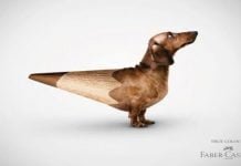 Darbo su skelbimais gairės skelbimai