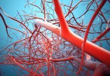 Santariškių klinikose žmonėms darbingumas grąžinamas visiškai ištirpstančiais kraujagyslių implantais Santariškių klinikose žmonėms darbingumas grąžinamas visiškai ištirpstančiais kraujagyslių implantais