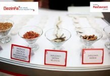 Dienos pietums – kenkėjai!