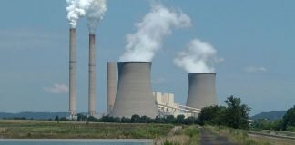 Ekologija ir sveikata