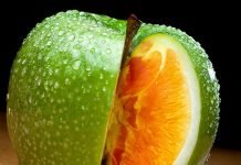 Genetiškai modifikuoto maisto poveikis žmogui Genetiškai modifikuoto maisto poveikis žmogui