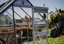 Šiltnamiai: su džiaugsmu mėgaukimės daržovėmis ir gėlėmis