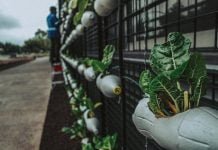 Eko verslas – vis labiau populiarėja?