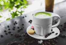 Matcha kokybė skiriasi. Kaip atskirti tikrą arbatą?