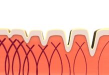 2 tipo kolagenas – sąnarių sveikatai svarbus baltymas