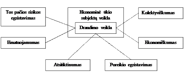 Draudimo esmė